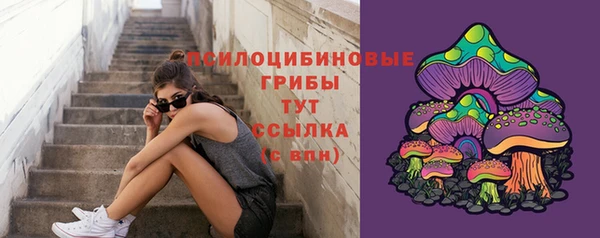 стафф Алексин