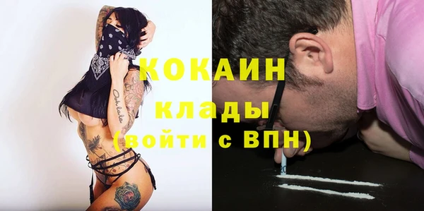 стафф Аркадак