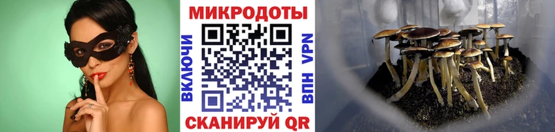Псилоцибиновые грибы прущие грибы  ссылка на мегу зеркало  Бузулук  цена  